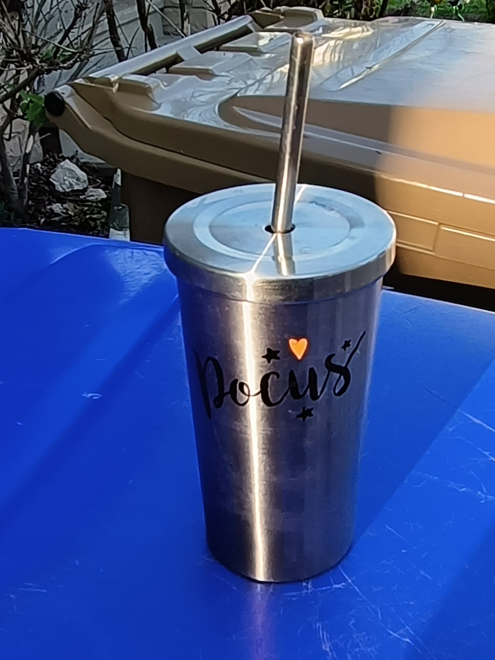 Stainless Steel 'Focus' Insulated Tumbler And  Straw - Silver says Hocus Pocus